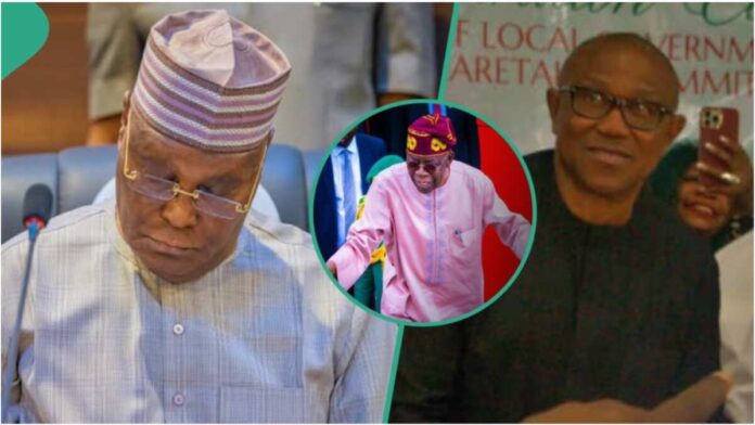 Presidential election judgment: Atiku finds next switch after Supreme Courtroom verdict