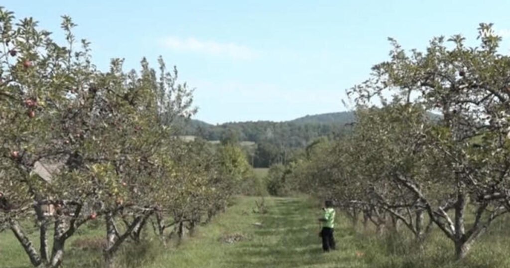 The Uplift: National Farmer’s Day. Presented by Land O’Lakes.